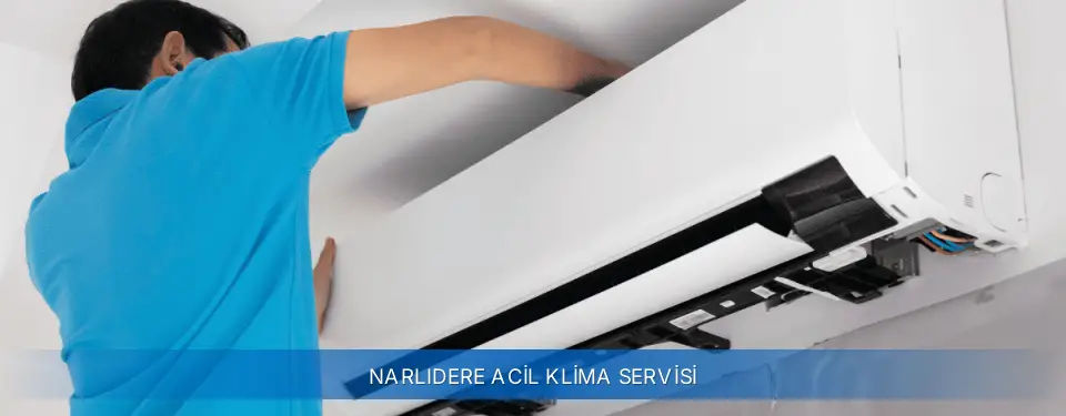Narlıdere İlçemi York Acil Klima Servisi