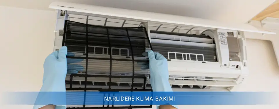 Narlıdere İlçemi York Klima Bakımı